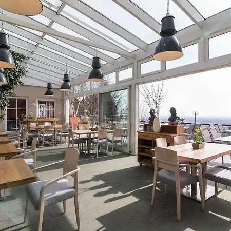 Schoene Aussicht 美因河畔法兰克福